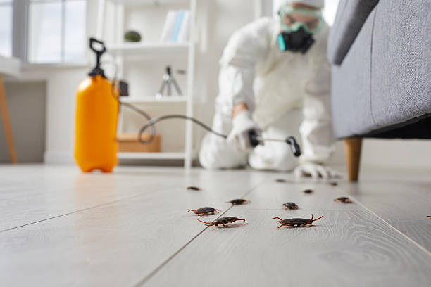 Commercial Kitchen Cockroach Control in Pine Hills